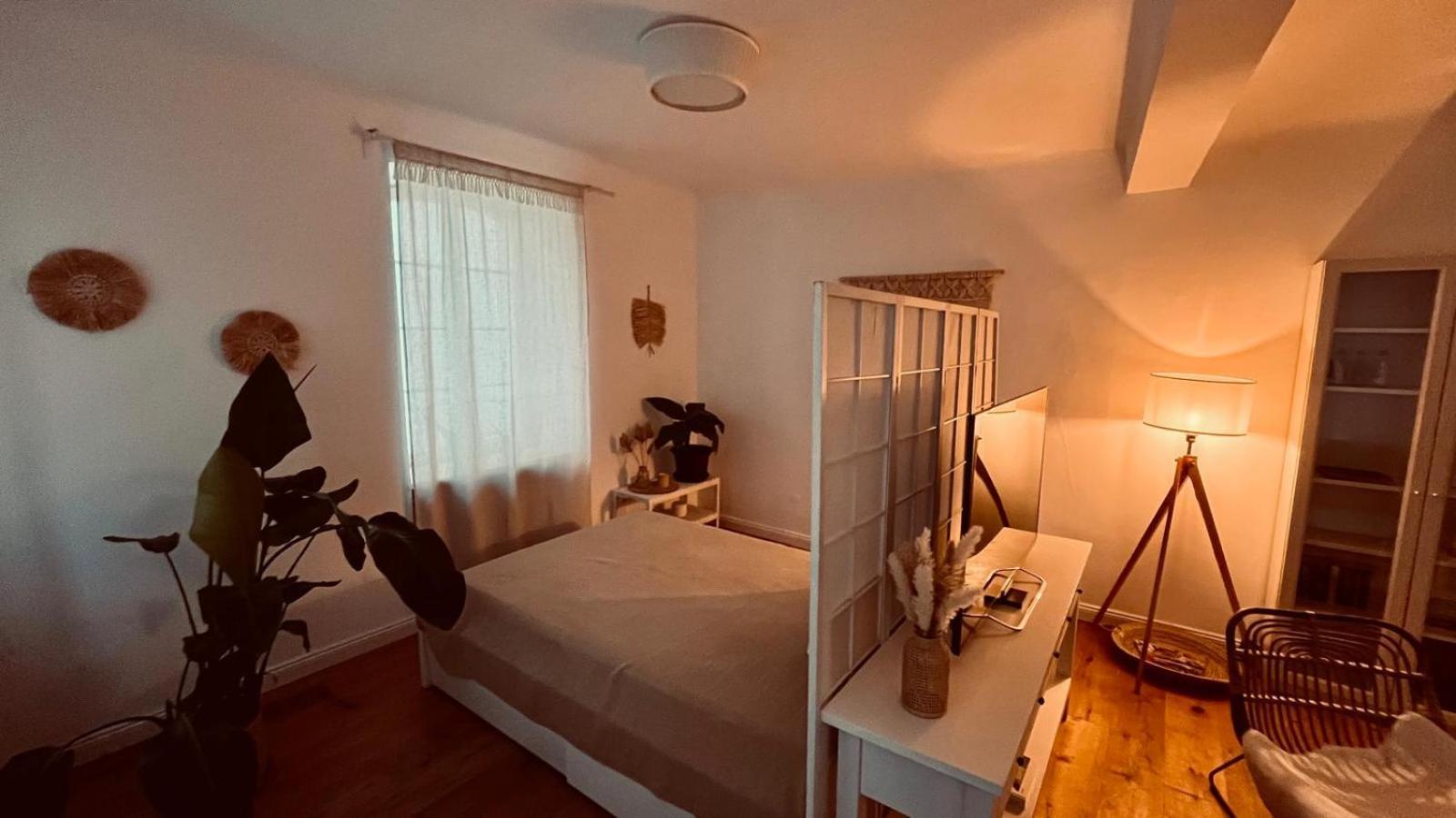 Apartment Am Schloss - Charme Saarbrücken Esterno foto
